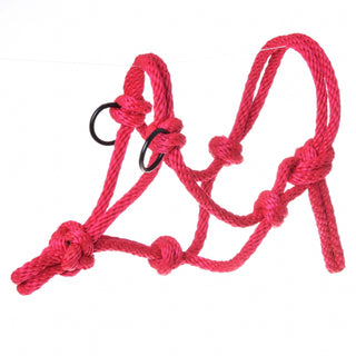 Cavezza rossa con corda