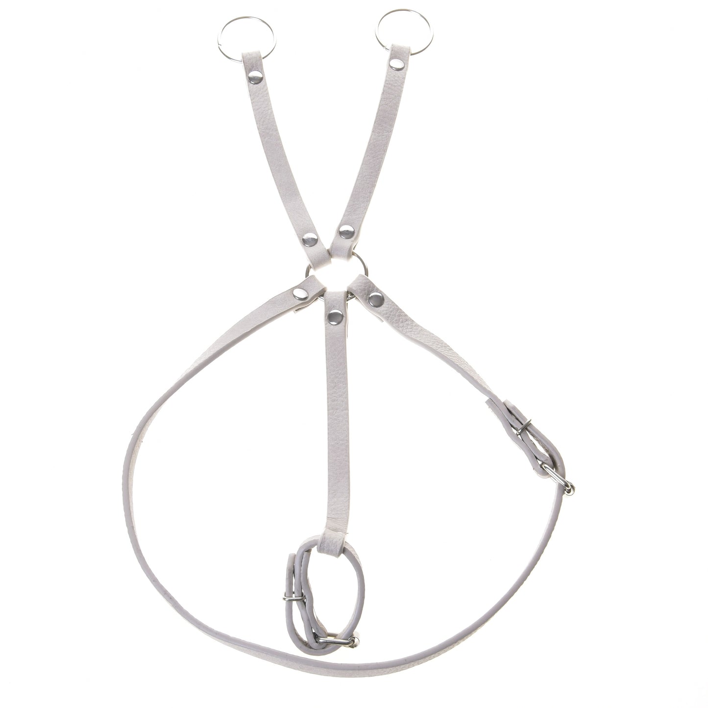 Set Aqua in similpelle - briglia, redini e martingala