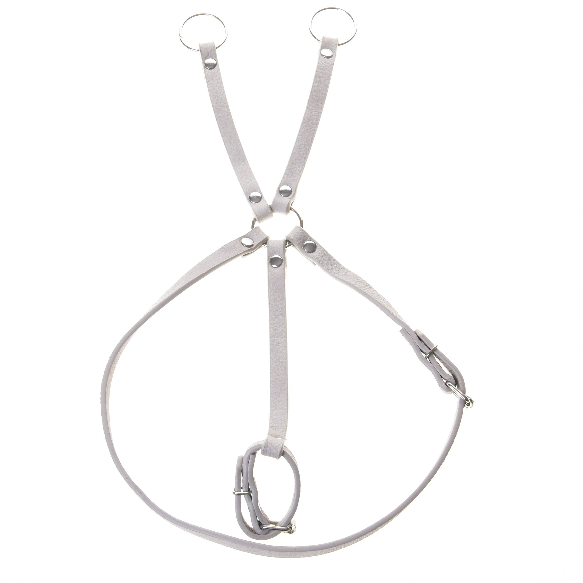 Set Aqua in similpelle - briglia, redini e martingala