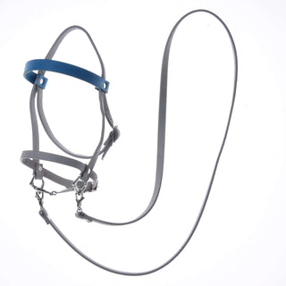 Set Aqua in similpelle - briglia, redini e martingala