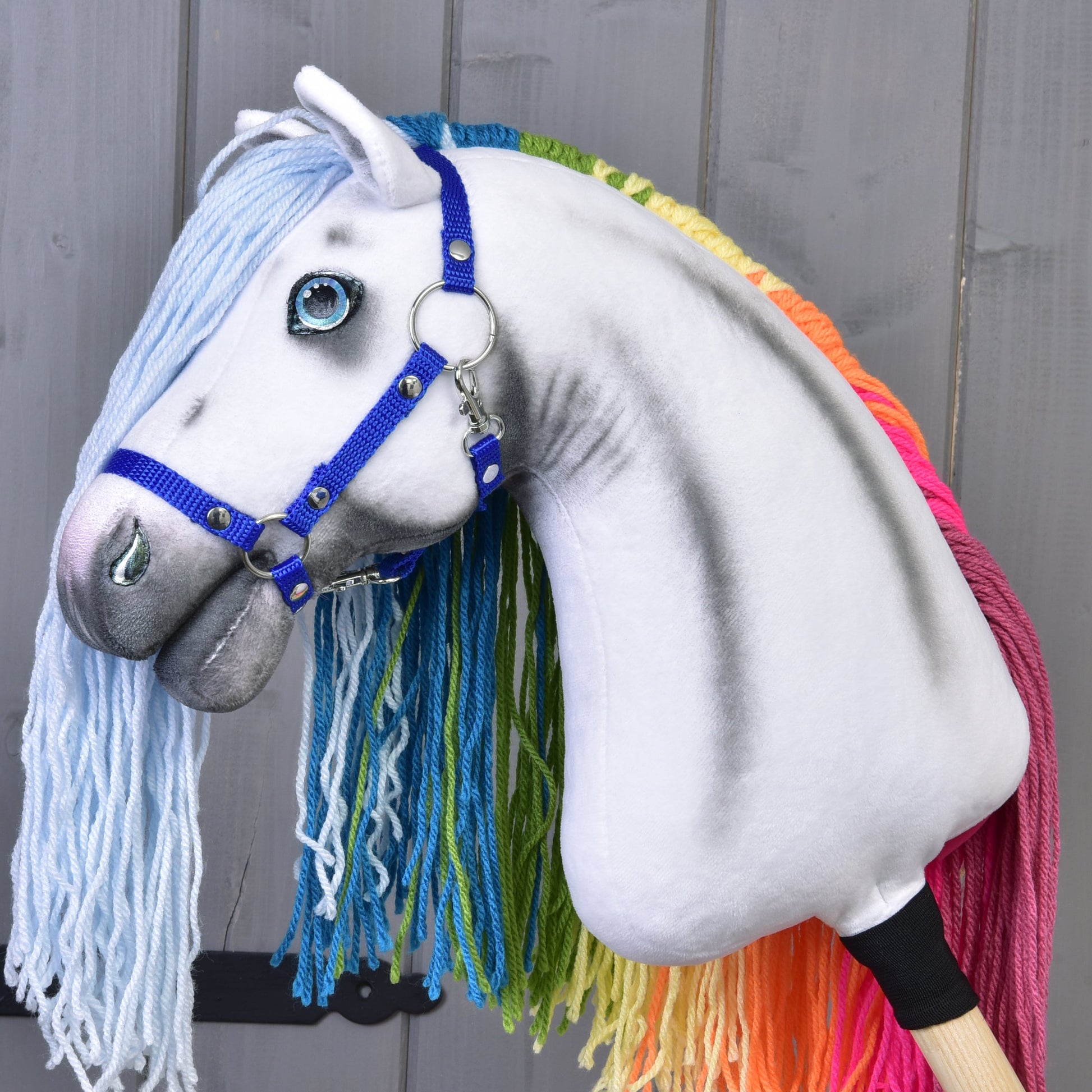 Hobby Horse Unicorn Rainbow with Bridle and Halter