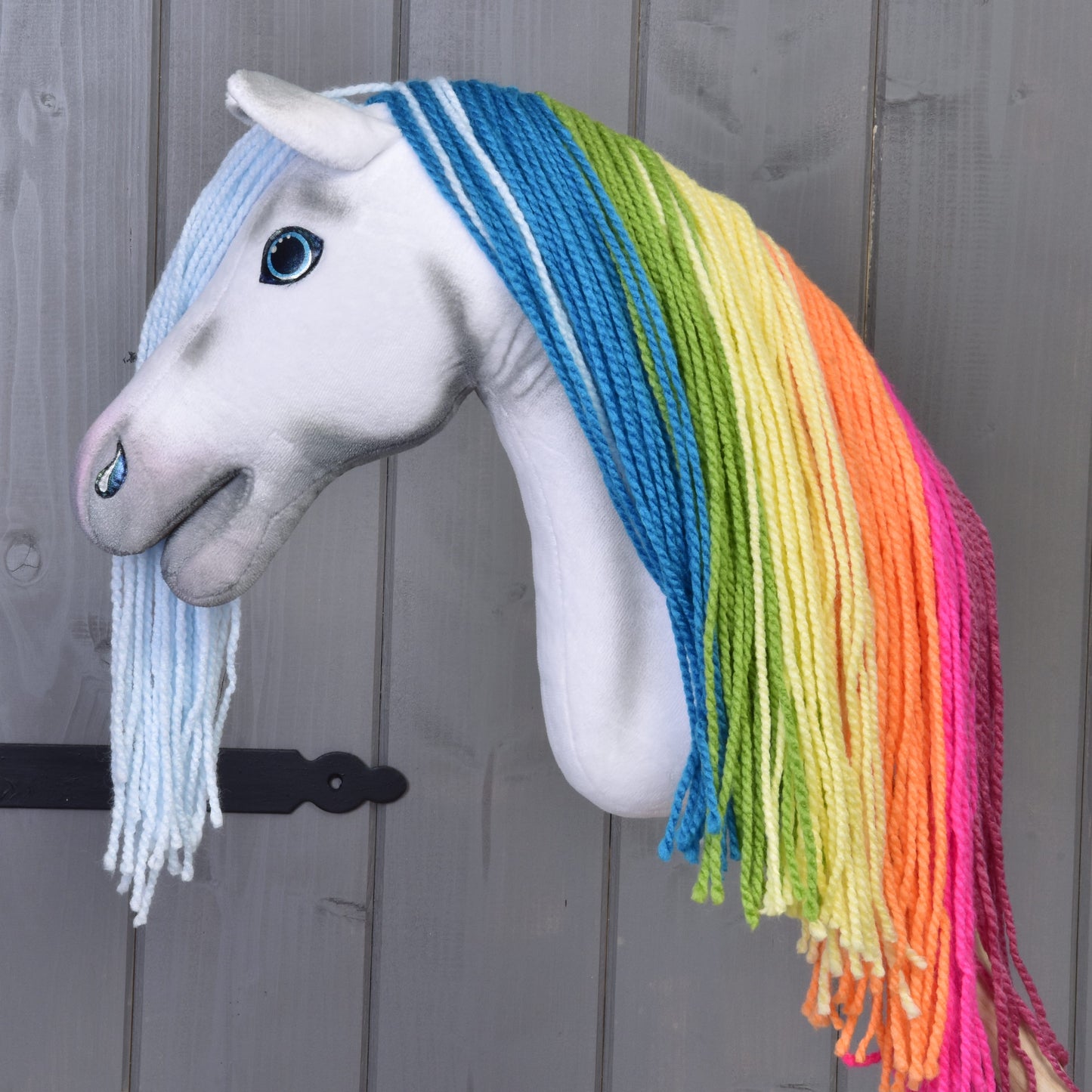 Hobby Horse Rainbow with Blue Halter