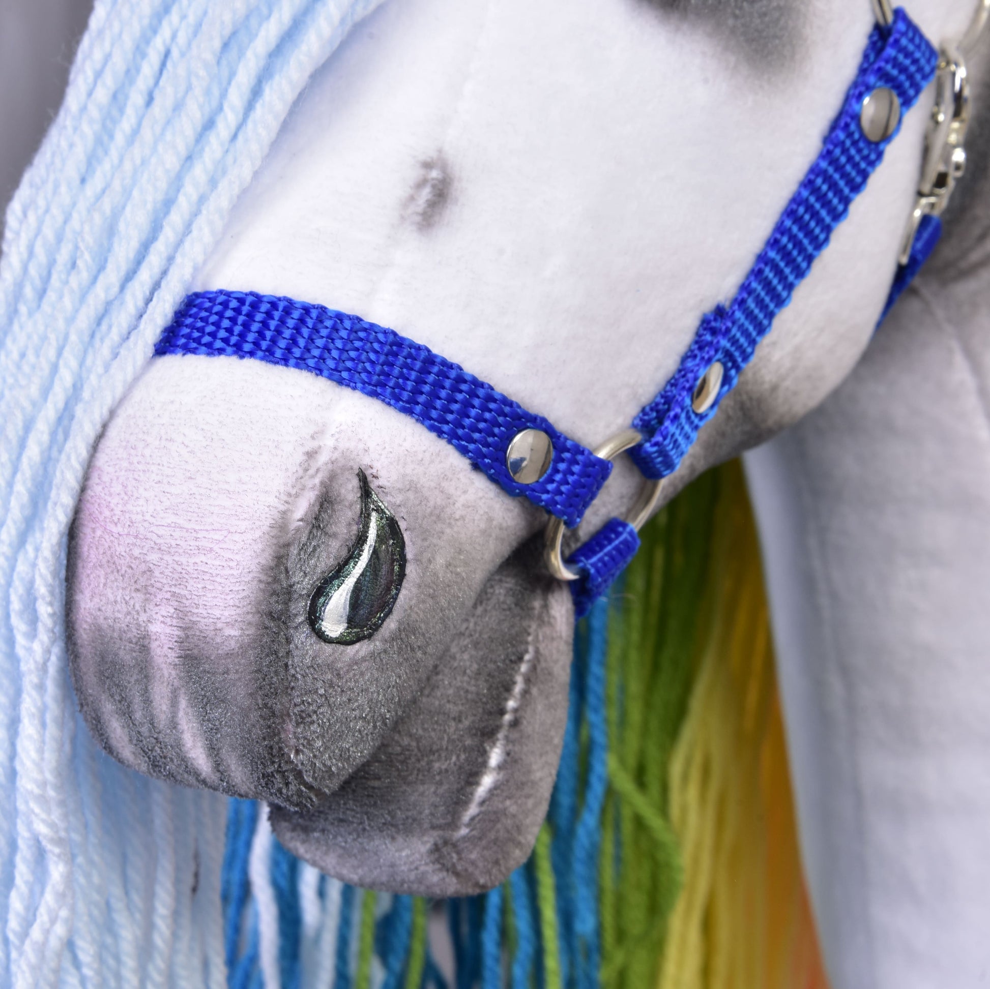 Hobby Horse Rainbow with Blue Halter