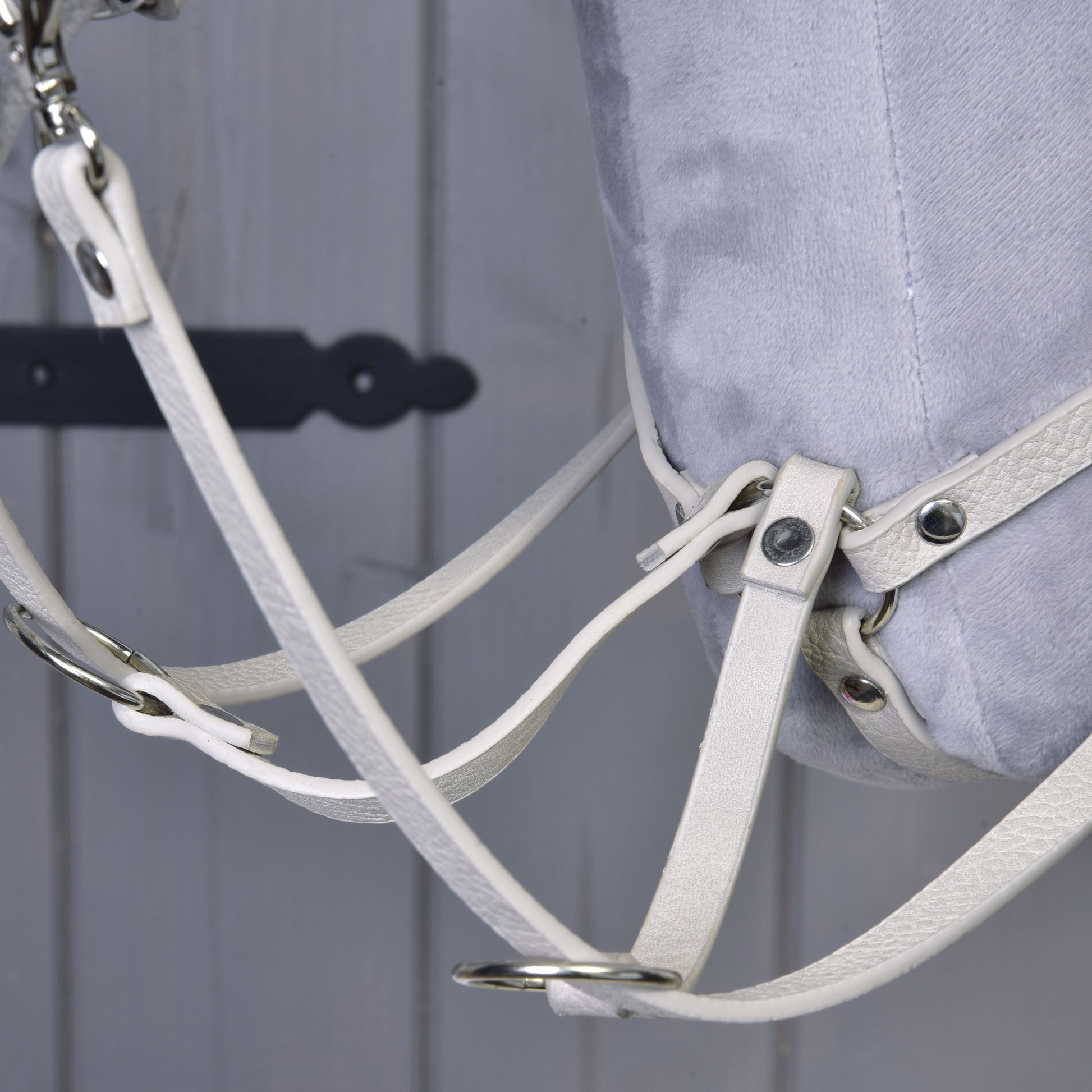 Set Aqua in similpelle - briglia, redini e martingala