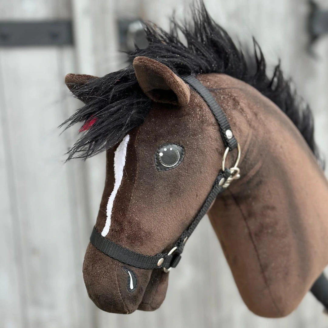 Primo piano di Hobby Horse Lucas con capezza nera di Hobby Horse LarDen, uno stallone hannoveriano marrone con criniera nera, lista bianca sul muso e capezza nera, su sfondo sfocato in legno.