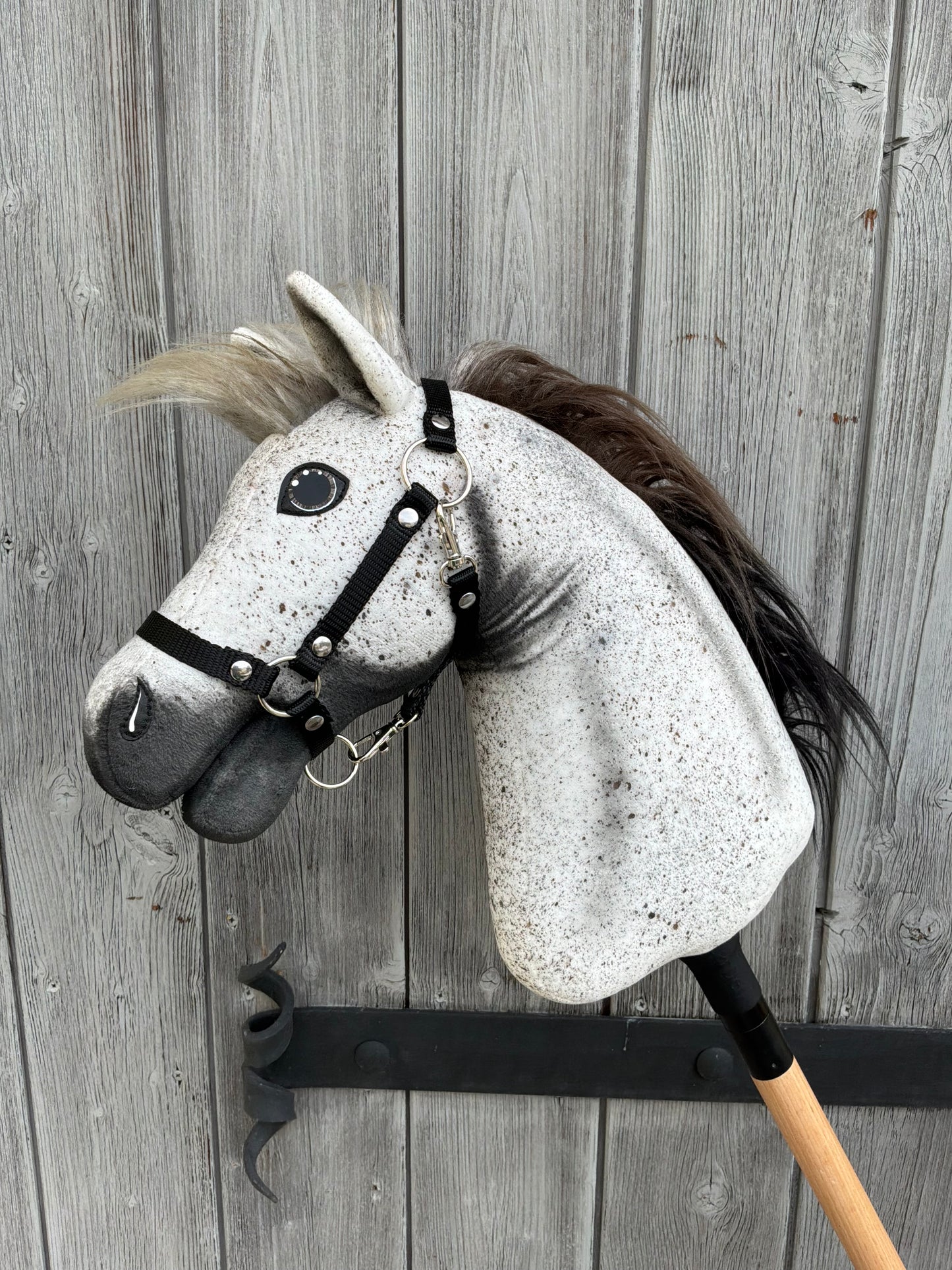 Hobby Horse Luna con capezza nera - taglia S di Hobby Horse LarDen con design Appaloosa grigio realistico, criniera nera e bianca e dettagli cuciti espressivi, montato su un bastone di legno davanti a una recinzione invecchiata.