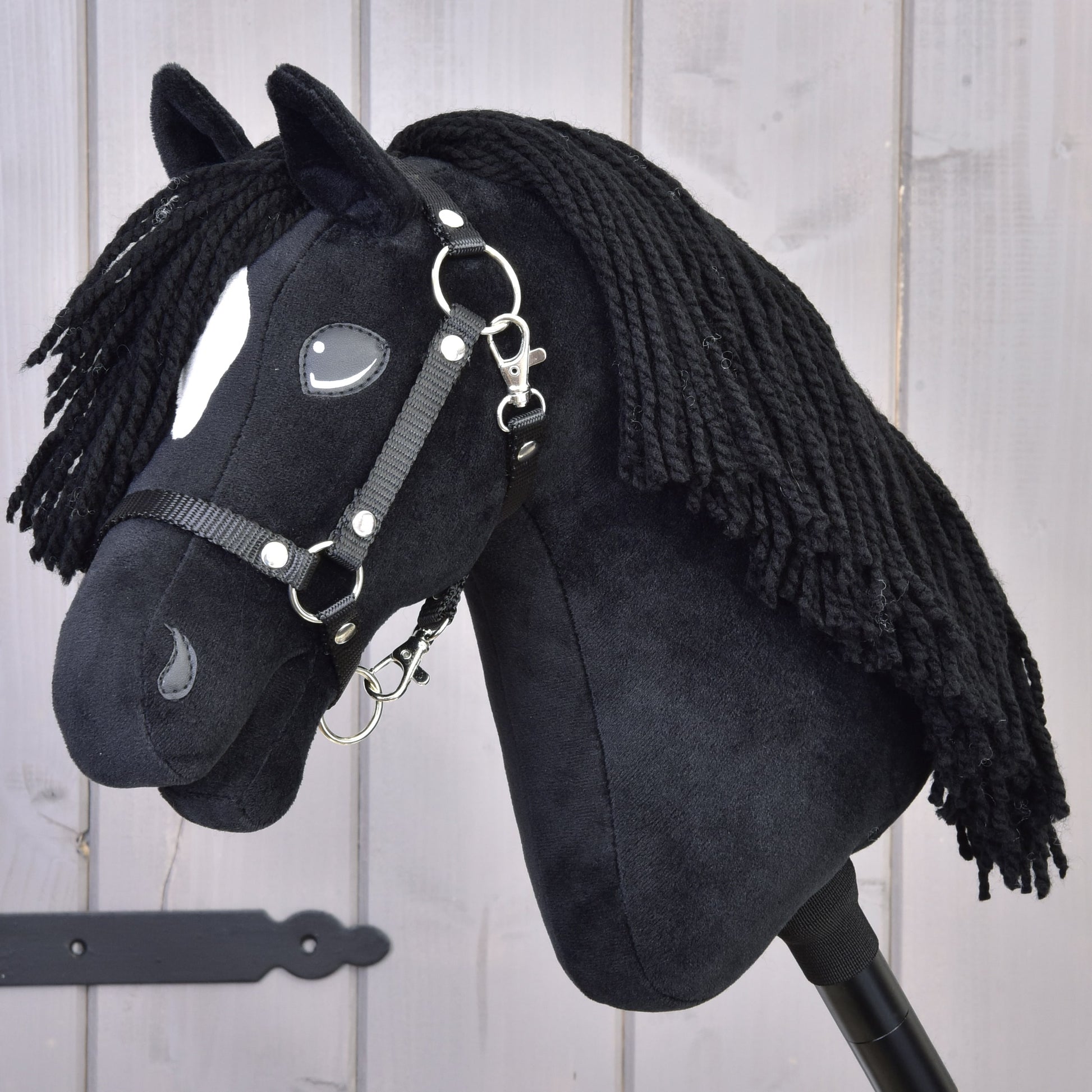 Hobby Horse Cloony with Black Halter