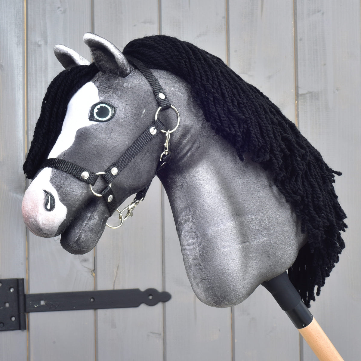 Hobby Horse Clover
