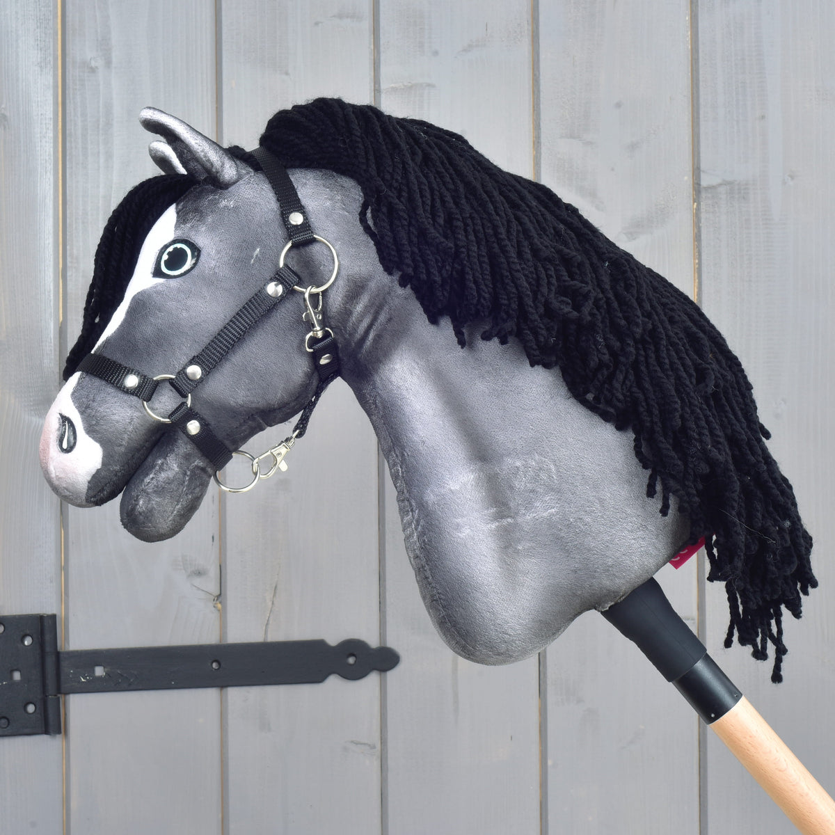 Hobby Horse Clover
