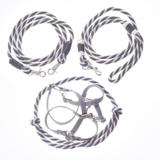 Set Start Argento (cavezza + redini a collare + lunghina + redini)