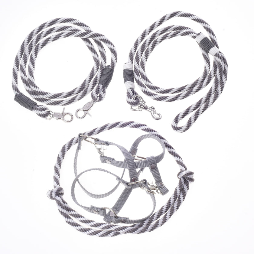 Set Start Argento (cavezza + redini a collare + lunghina + redini)