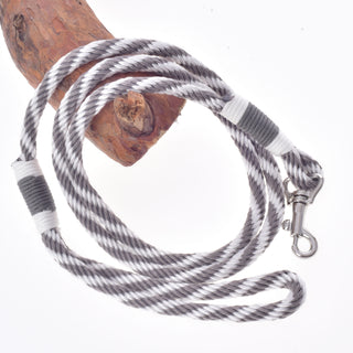 Set Start Argento (cavezza + redini a collare + lunghina + redini)