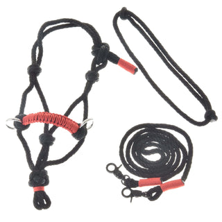 Set di cavezze in corda Scintilla