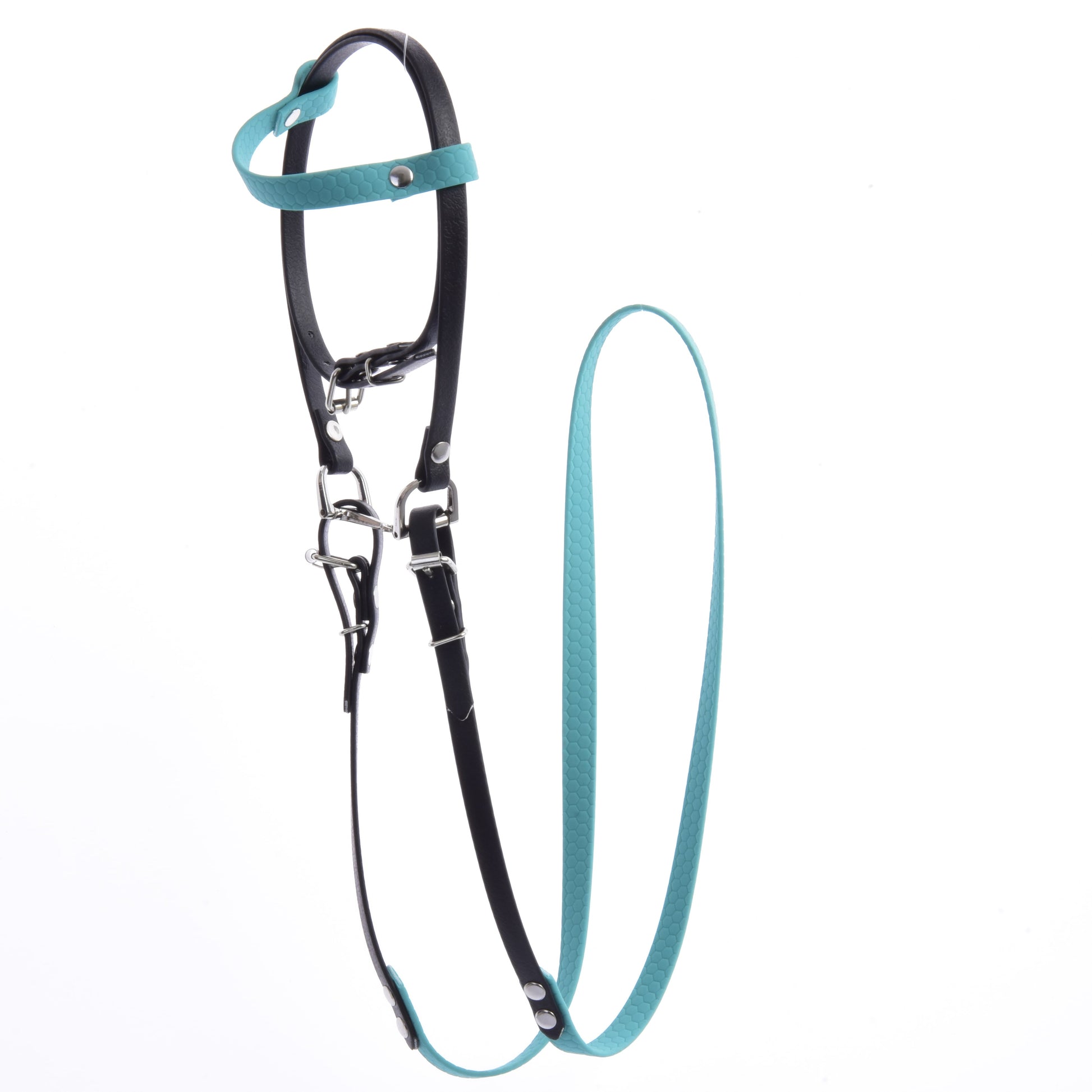 Complete bridle without noseband turquoise