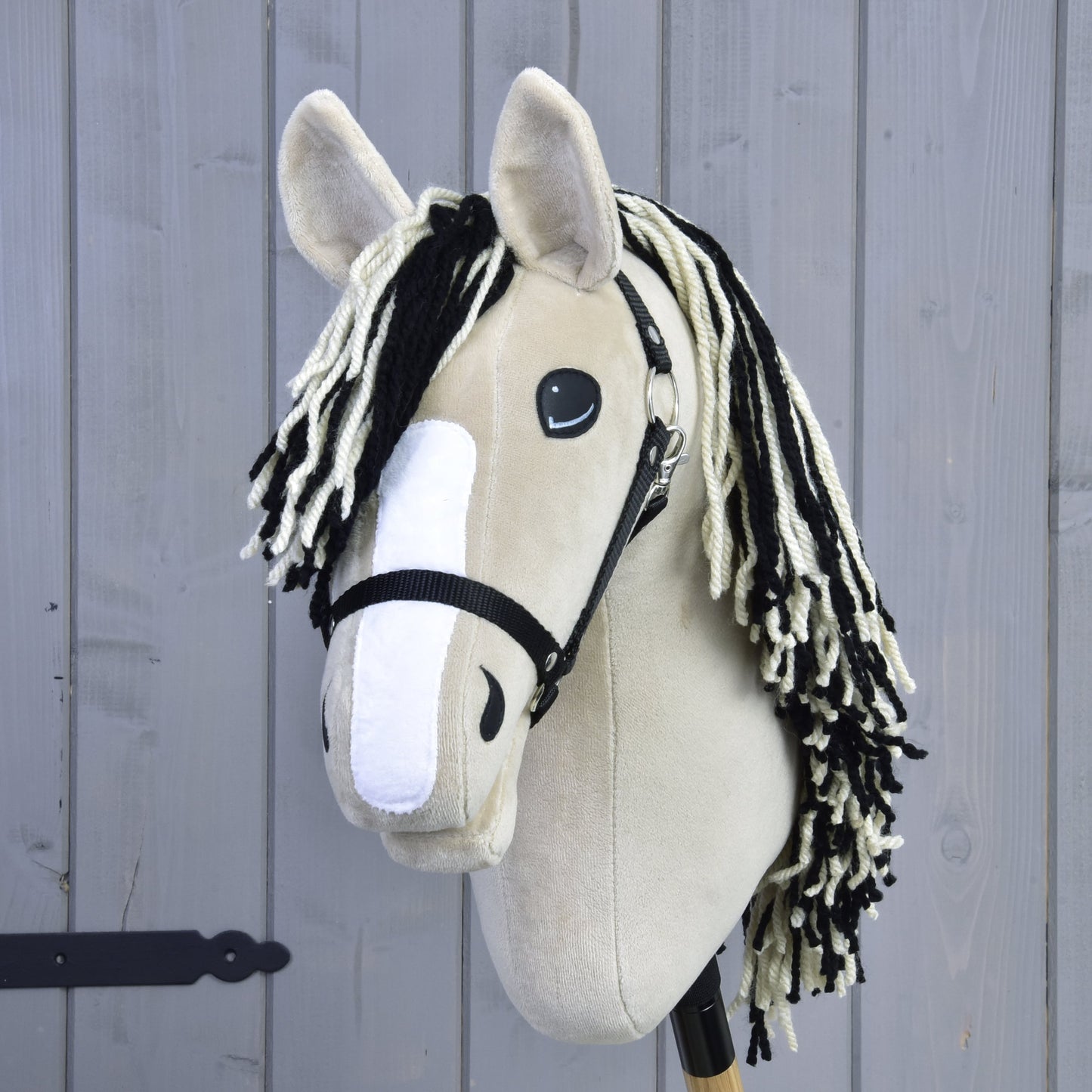 Hobby Horse Aurora with Black Halter
