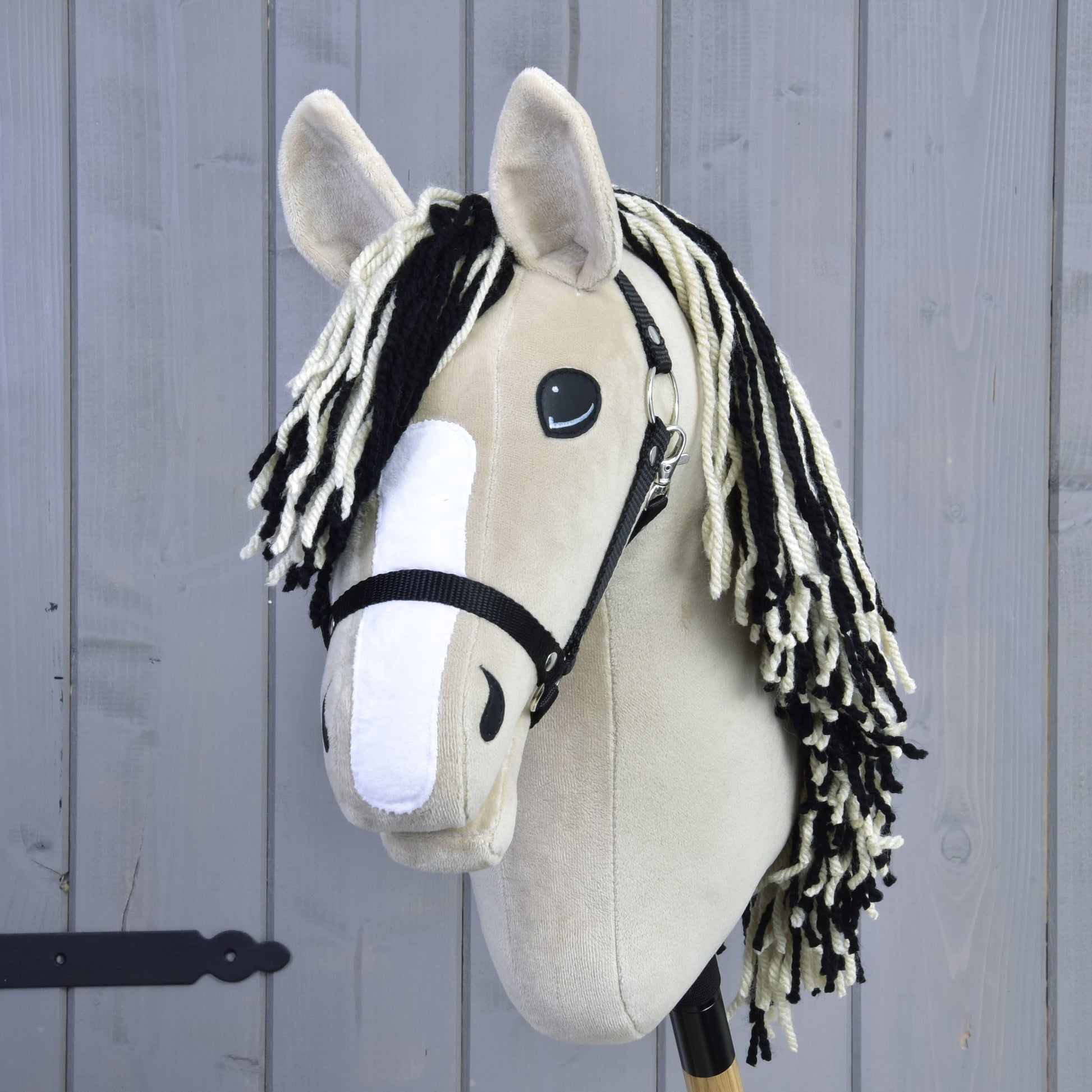 Hobby Horse Aurora with Black Halter