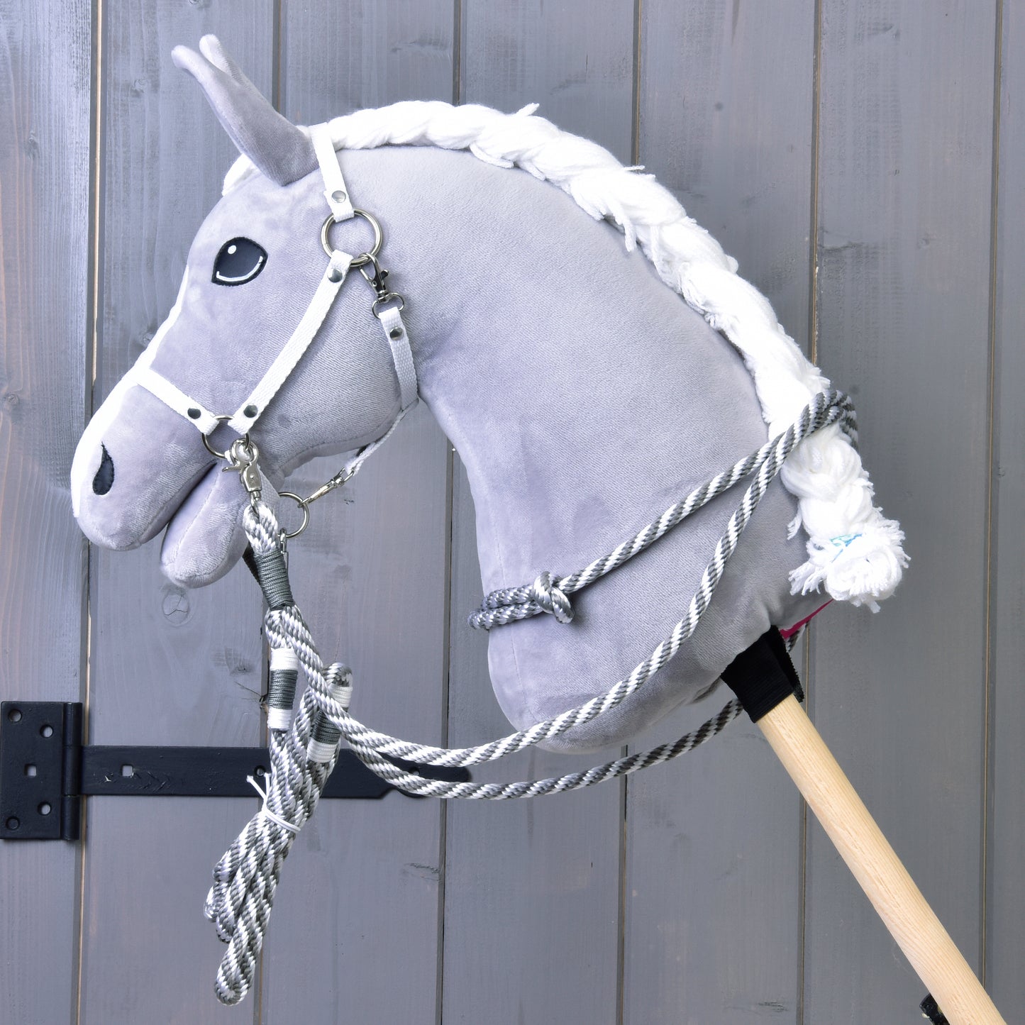 Set Start silver (halter, leash, reins, cordeo) 1