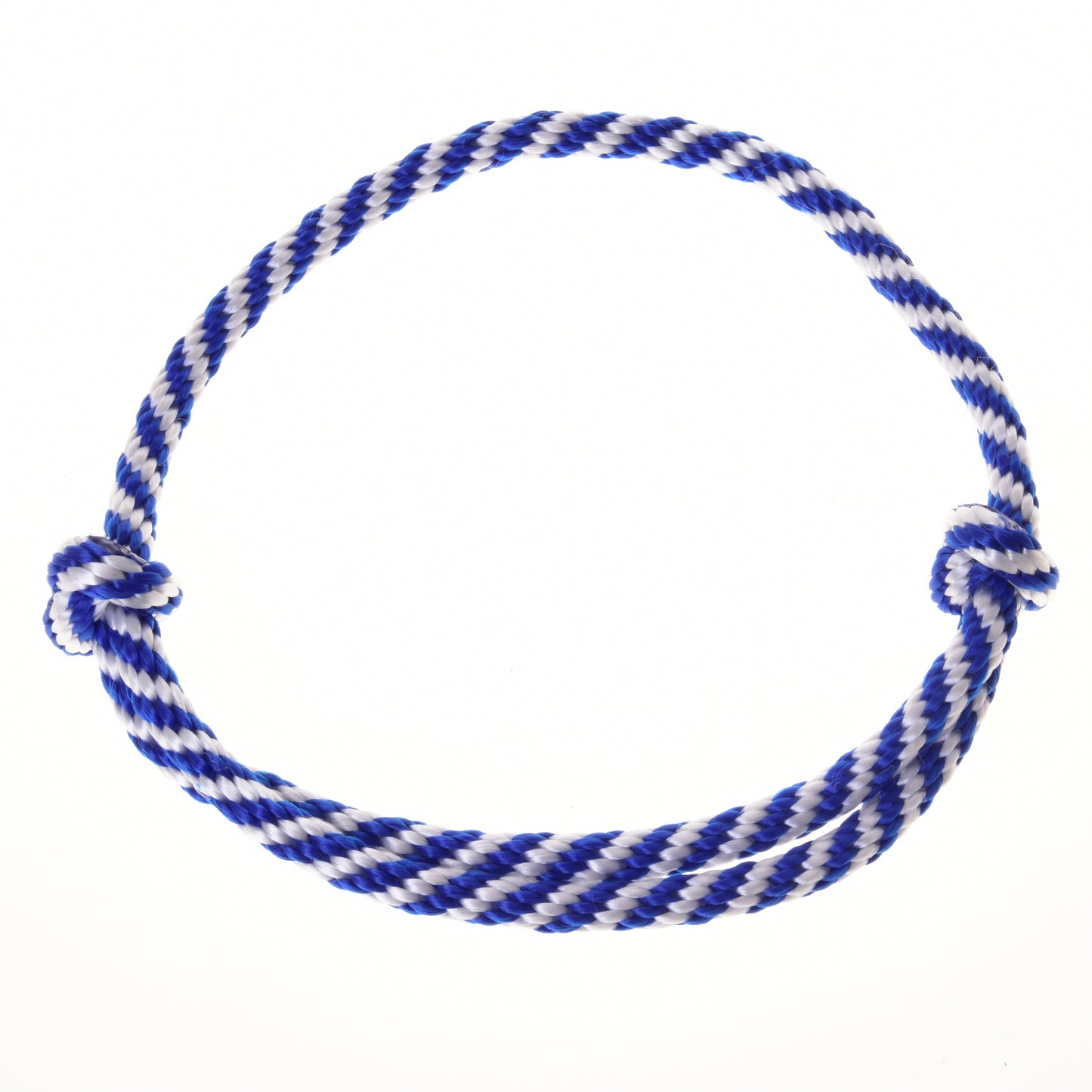 Set Start blue (halter, leash, reins, cordeo) (size  M) 4