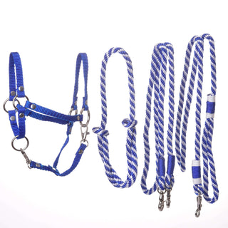 Set Start blu (cavezza, guinzaglio, redini, redini a collare)