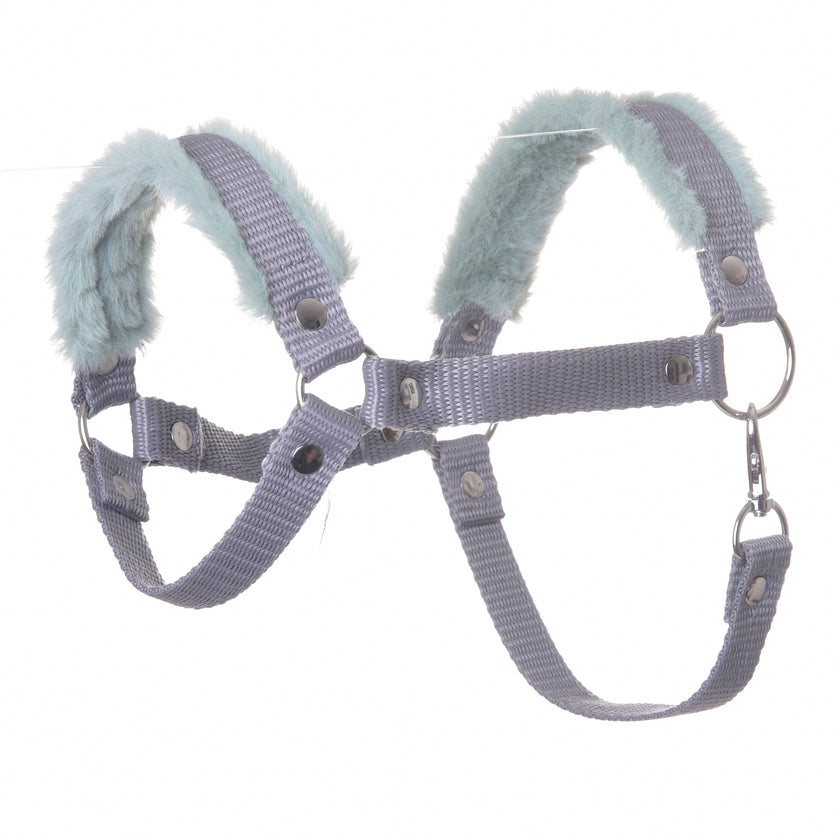 Halter grey with mint fur