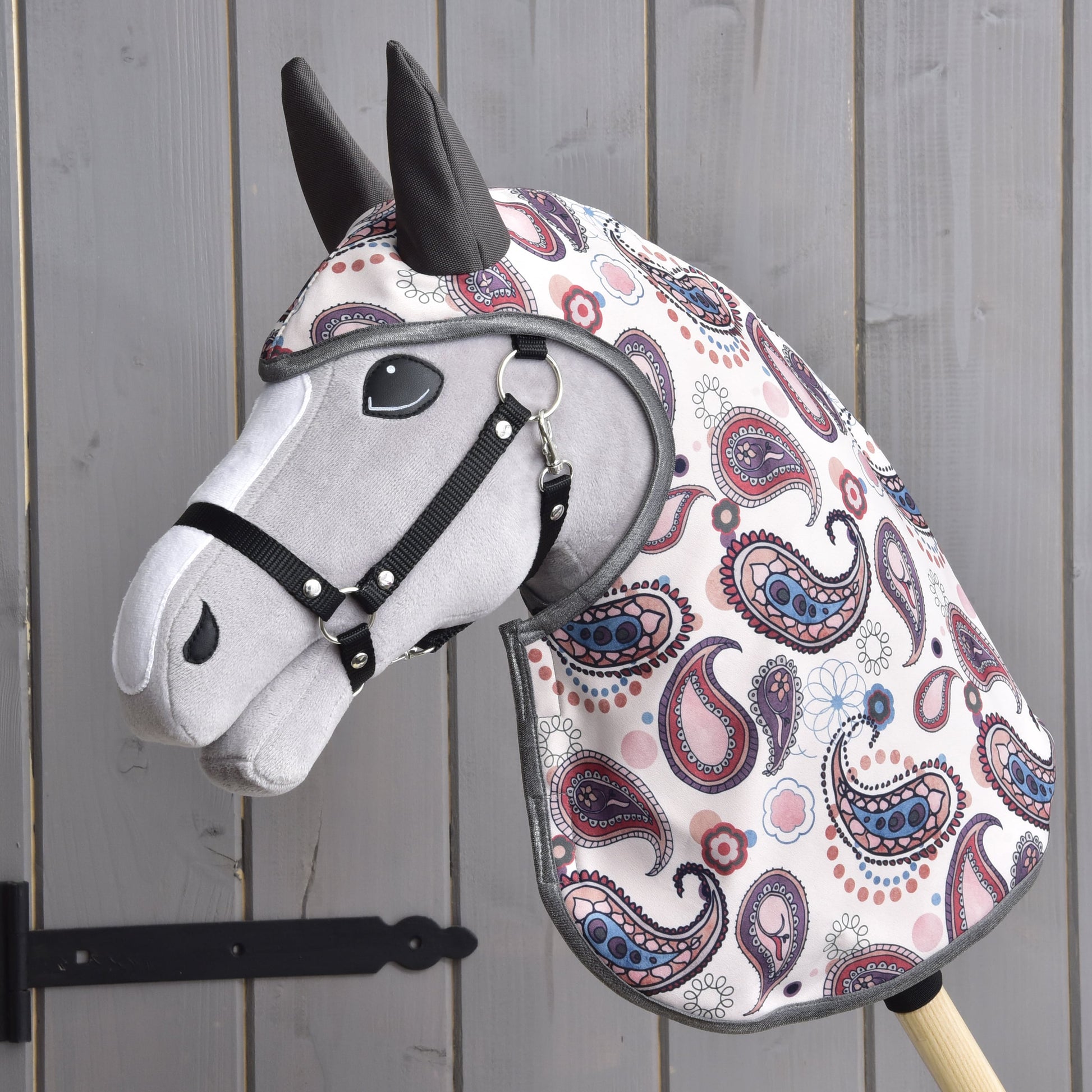 Raincoat Fairy Blue (softshell)