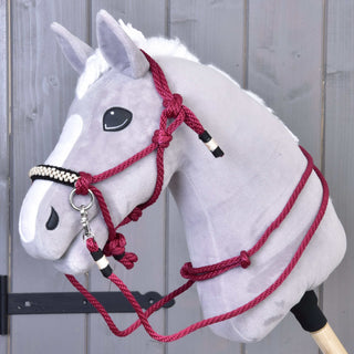Set di corde Burgundy