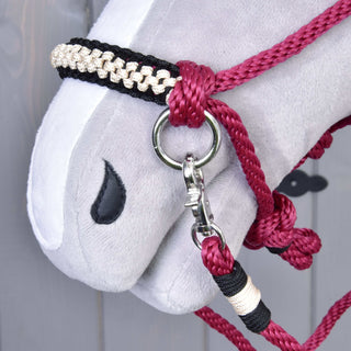 Set di corde Burgundy