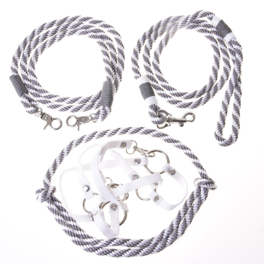 Set Start Silver (halter + cordeo + lead rope + reins)