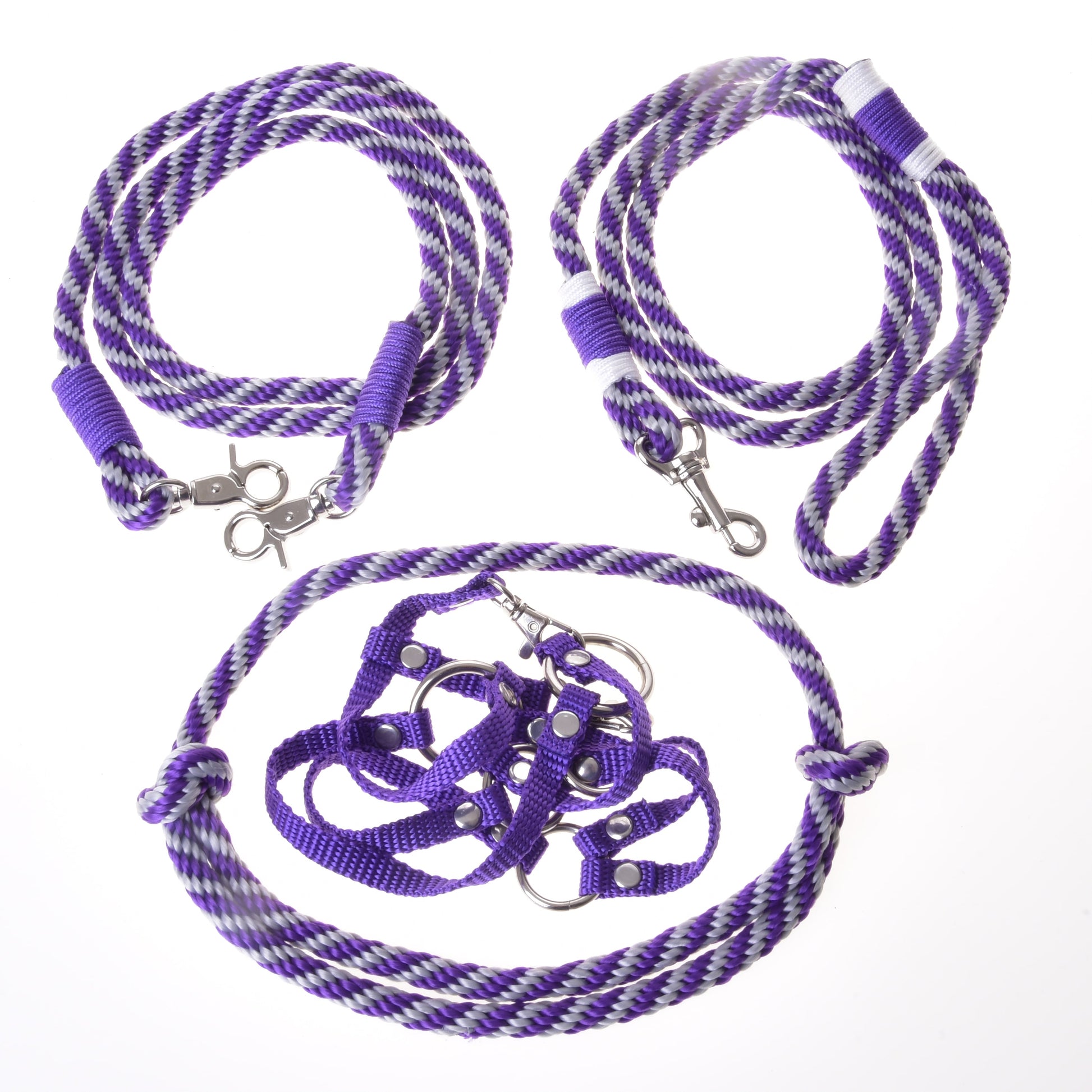 Set Start Purple (halter + cordeo + lead rope + reins)