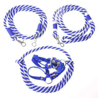 Set Start blu (cavezza, guinzaglio, redini, redini a collare)