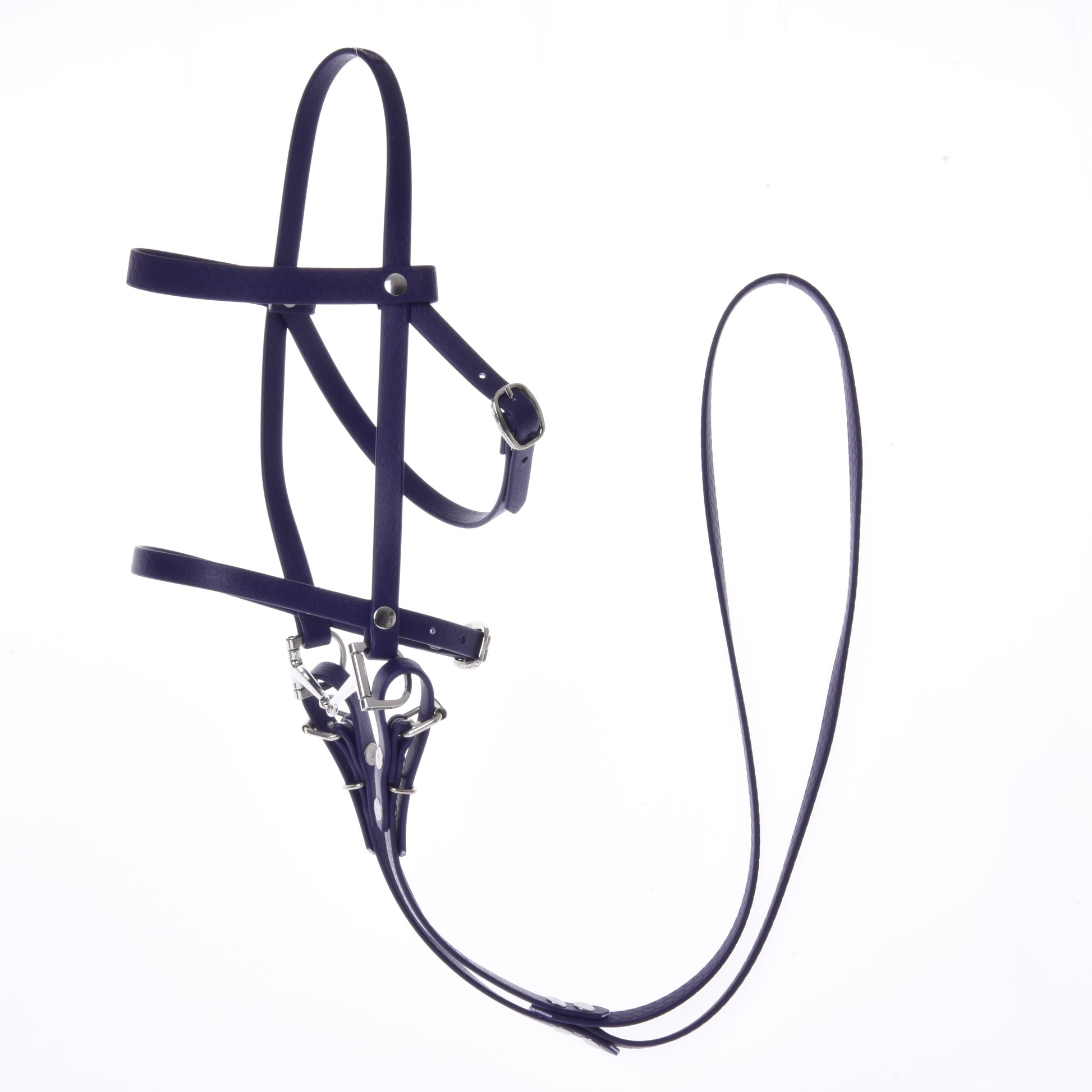 Complete bridle with noseband Dark Purple