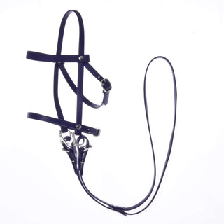 Testiera completa con nasello Viola Scuro