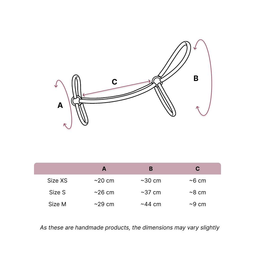 Diagram of a balloon dog with labeled arrows for A (height), B (body length), and C (neck length), inspired by Hobby Horsing. Below is a size chart with XS, S, and M Hobby Horse measurements for A, B, and C in centimeters.