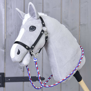 Redini Flag CZ