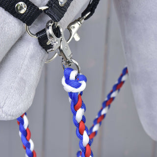 Redini Flag CZ