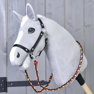 Reins Flag