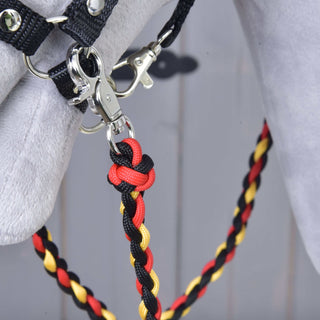 Reins Flag