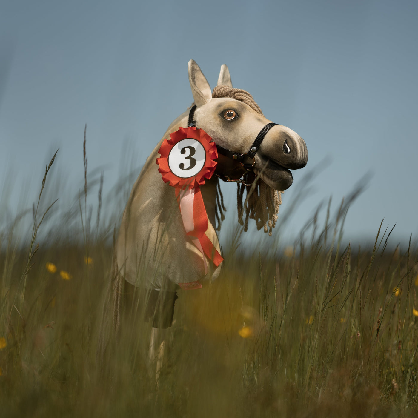 Hobby Horse Ribbon Blue – A ribbon for the winner