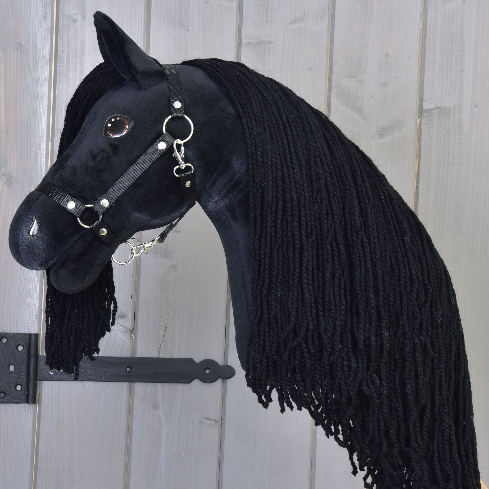 Hobby Horse Maximus with Black Halter