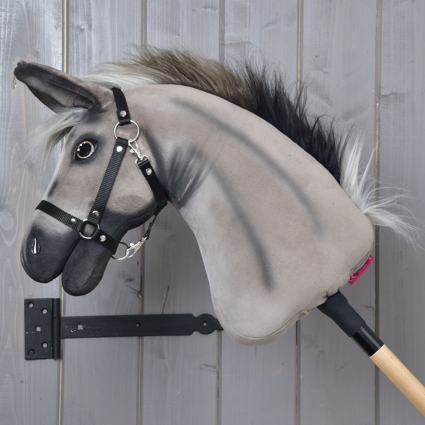 Hobby Horse Donkey Olin with Black Halter