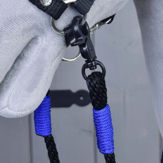 Redini Basic Blu