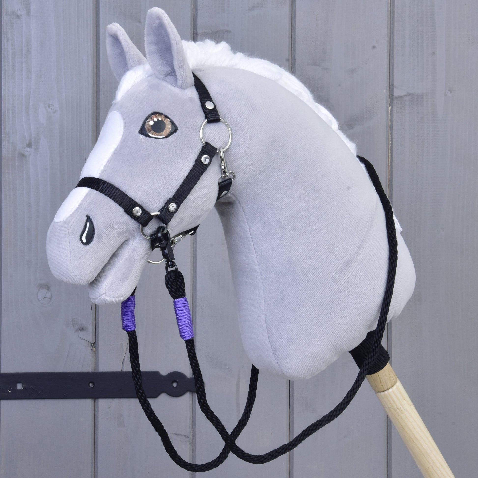Reins Basic Lila