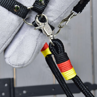 Reins Emblem