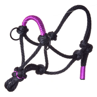 Cavezza in corda Violette