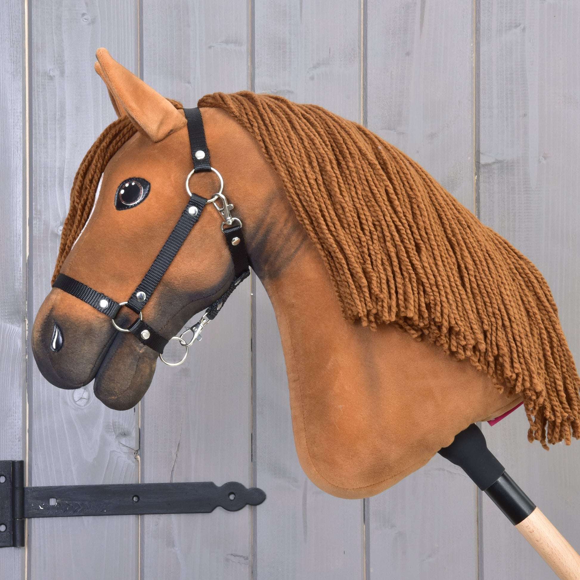 Hobby Horse Pippa with Black Halter