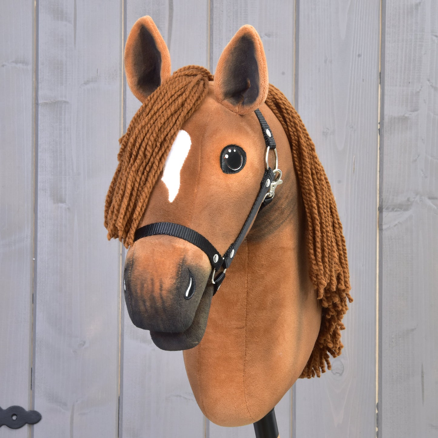 Hobby Horse Pippa with Black Halter