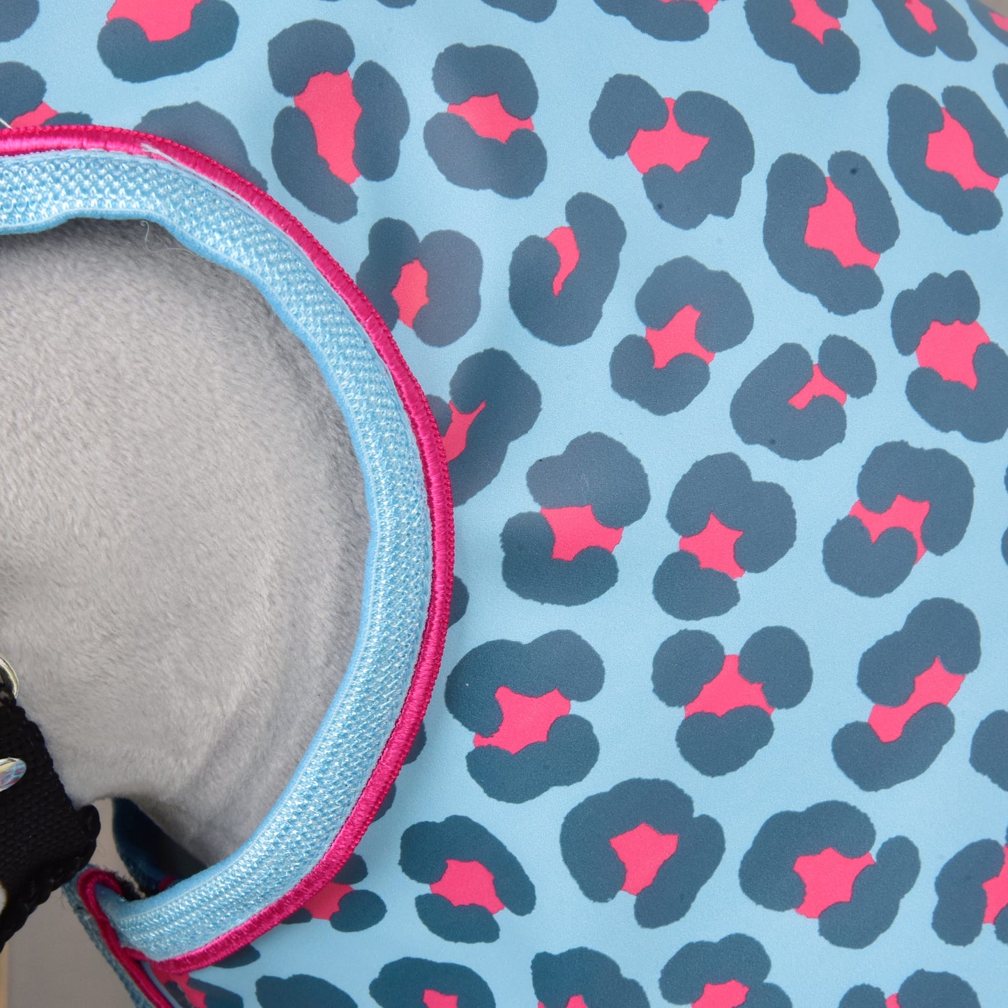 Raincoat Blue Leopard