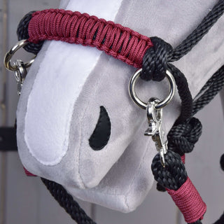 Set di corde Maroon