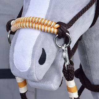 Set di corde Arancione