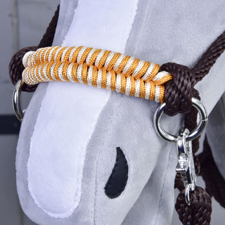 Set di corde Arancione